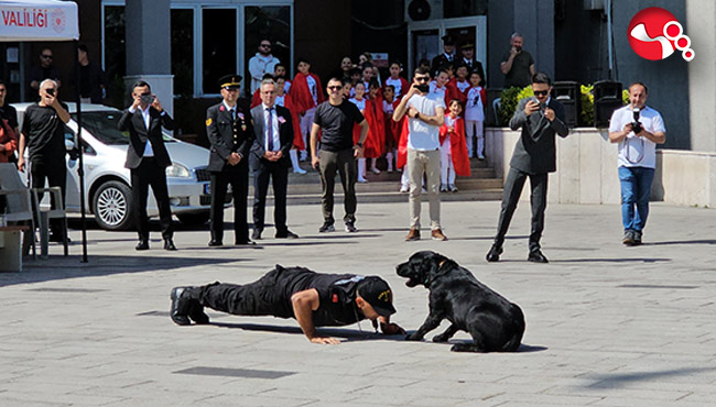 Gaddar, tek hamlede etkisiz hale getirdi