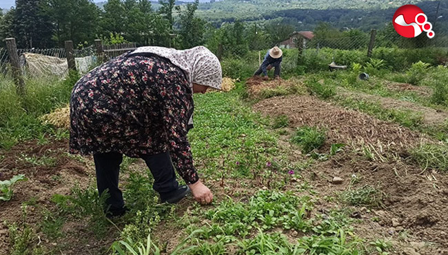 İki kardeşin azmi...