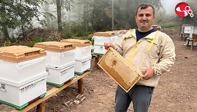 Ormangülü balında önemli üretim