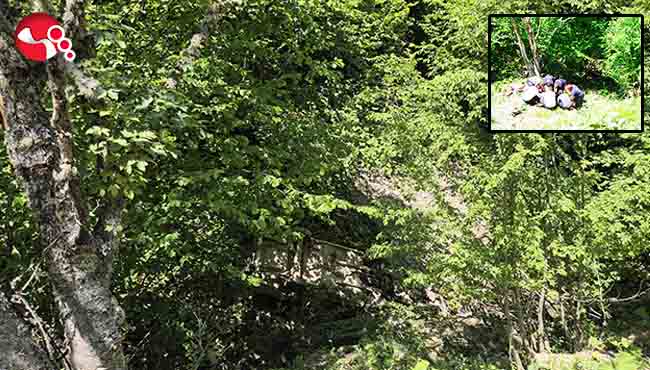 80 metreden şarampole devrildi....