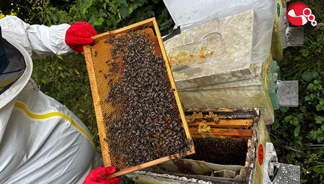 BİR NASİHATLE BAŞLADI, GEÇİM KAYNAĞI OLDU ...