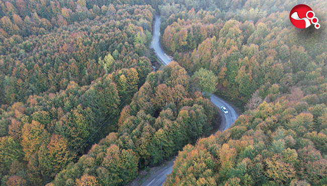 30 Eylül’e kadar ormanlara girişler yasaklandı