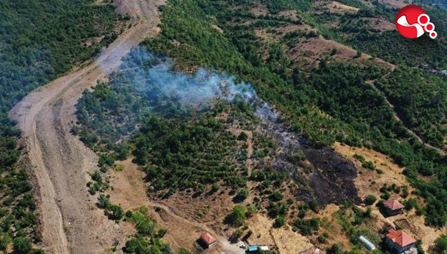 Çayır köyünde orman yangını korkuttu