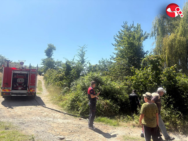 Yangın fındıklığa sıçradı!...