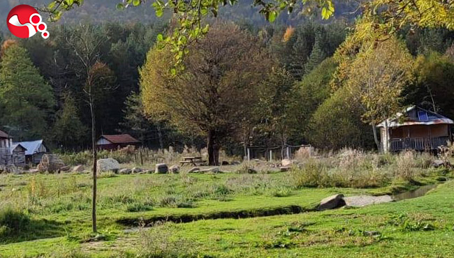 Ormanlarda ateş yakılması yasaklandı