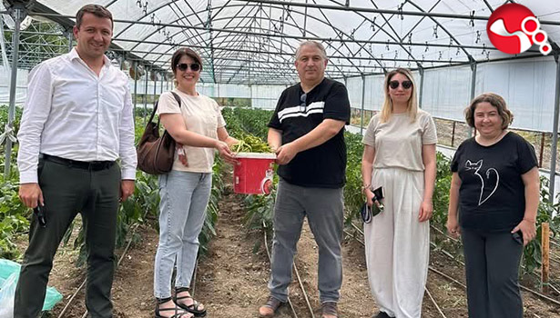 Üretim güçlerini birleştirdiler