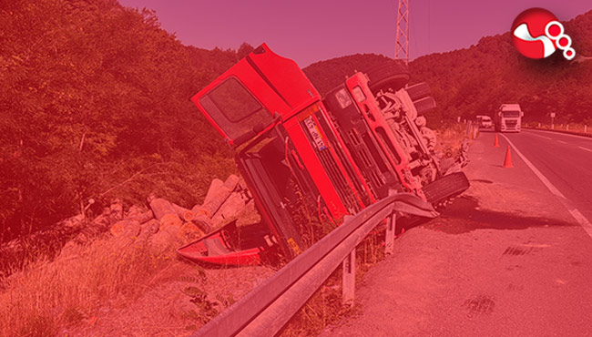 Tomruk yüklü tır devrildi