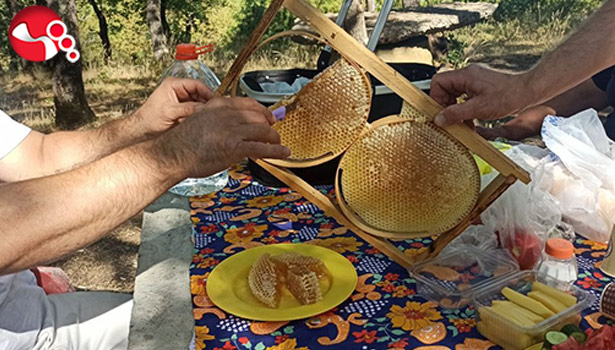 Kendi ürettiği balı Avrupa’ya pazarlamayı amaçlıyor