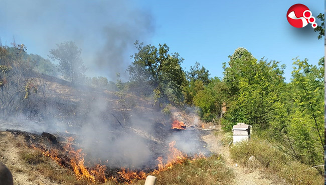 Alevler hızla yayıldı