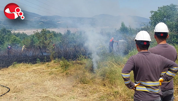Korku ve panik yarattı