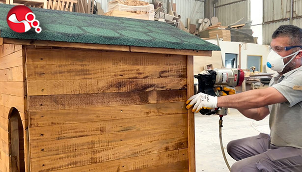 ÇAYBEL’den sokak hayvanlarına destek!