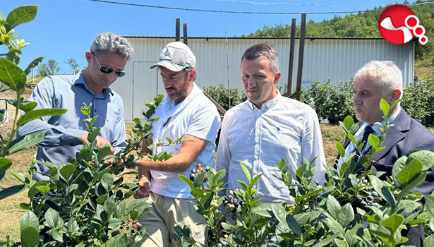 Kaymakam Kaya'dan yaban mersiini üretim tesisinde incelemeler...