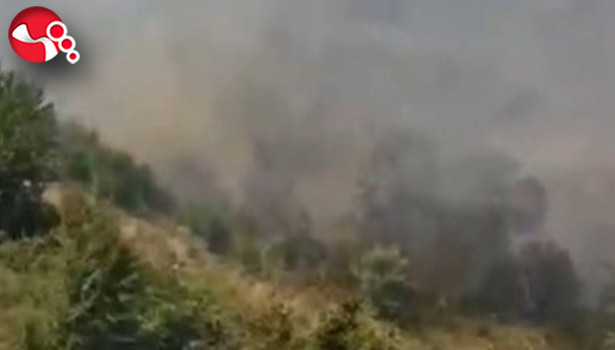 Kontrol altına alındı