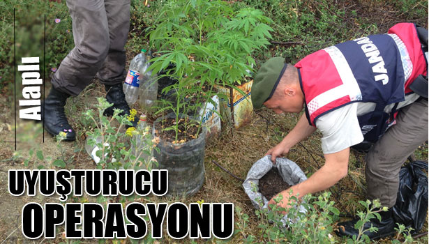 ALAPLI'DA UYUŞTURUCU OPERASYONU