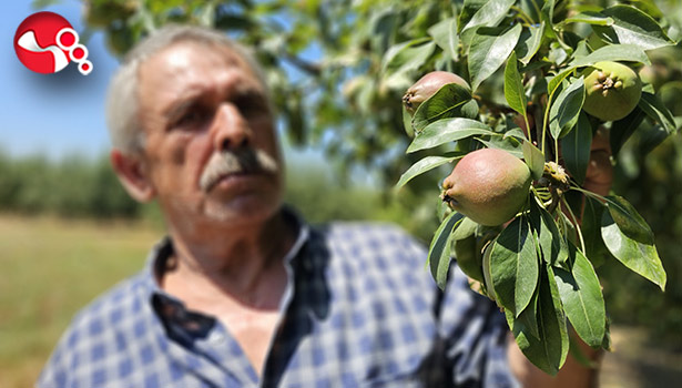 Emekli madencinin hedefi 80 ton!....