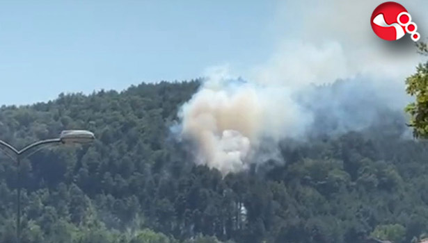 Büyümeden söndürüldü