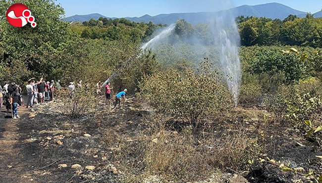 Fındık bahçesinde yangın!...