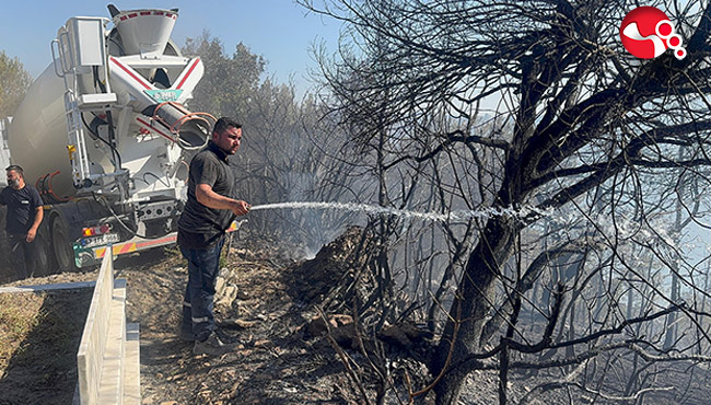 Ormanlık alanda yangın!