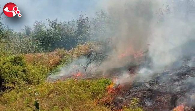 Tırpan motoru patlayınca!.....