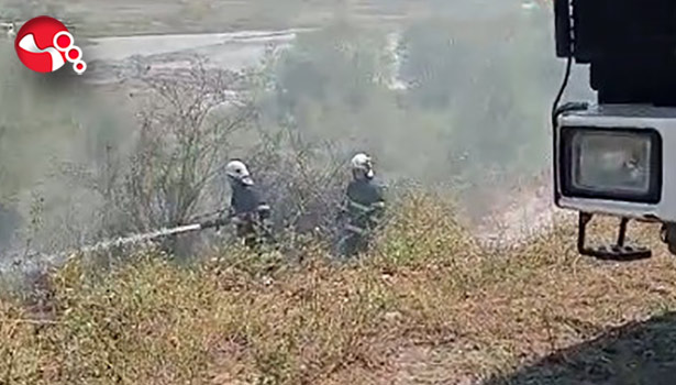 Çalılık alanda yangın