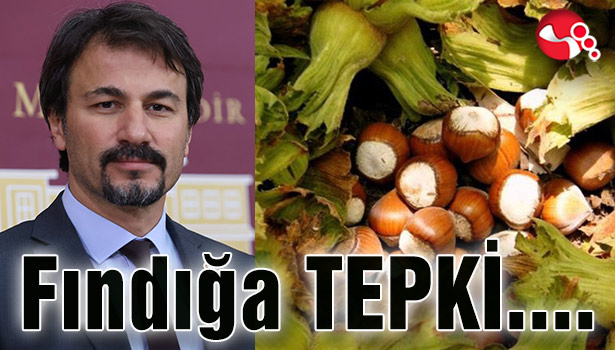 Milletvekili Ertuğrul'dan FINDIK ALIM FİYATLARINA TEPKİ:...