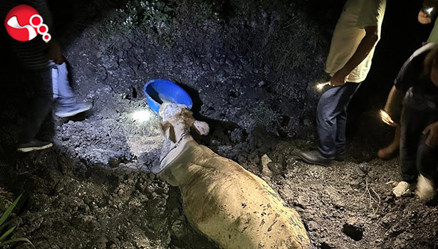 4 gün önce kaybolmuştu!....