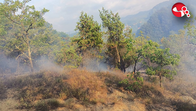 2 ayrı köyde yangın!....