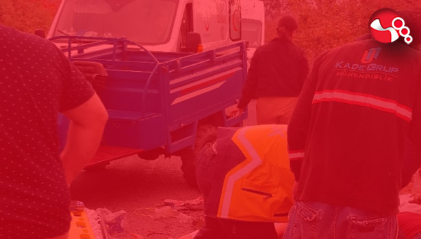 Fındık toplayacaklardı!....