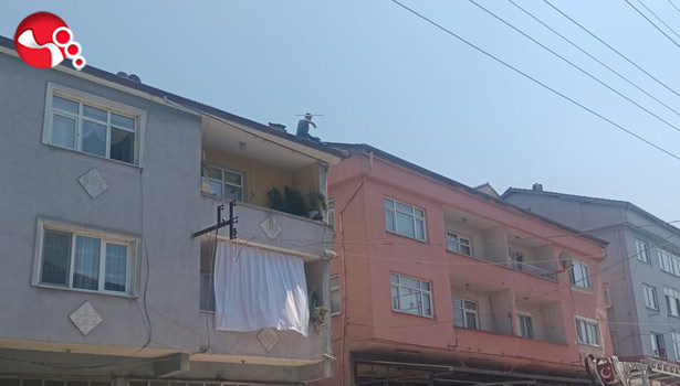 Çatıya çıktı!....