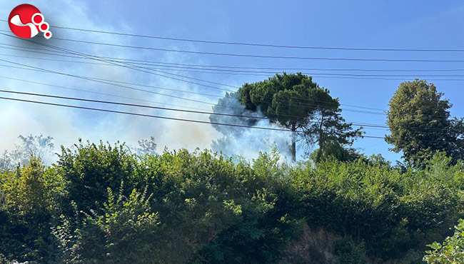 Bir yangın haberi de Terakki Mahallesi’nden geldi…