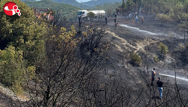 Yangın kontrol altına alındı…