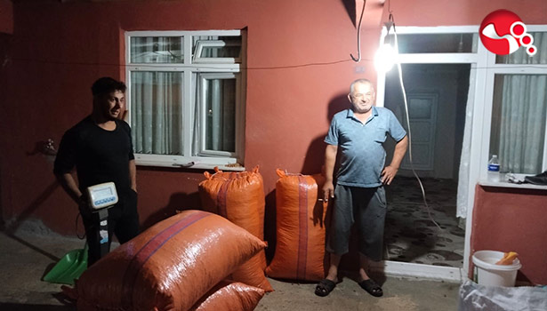 Alaplı'da hasat edilen fındıklar satışa çıktı