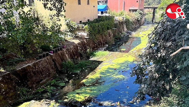 Mollabey Deresi çöplerle doldu, köylüler tepkili