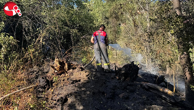 Ormanlık alanda çıkan yangın kısa sürede söndürüldü