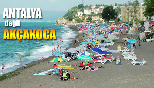 EN YAKIN ALTERNATİF AKÇAKOCA