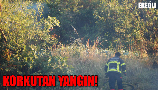 EREĞLİ'DE ÇIKAN YANGIN KORKUTTU