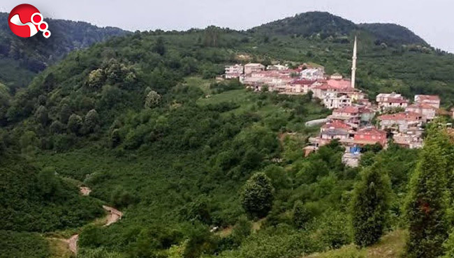 Alaplı’da 5 köyde seçim heyecanı yaşanacak