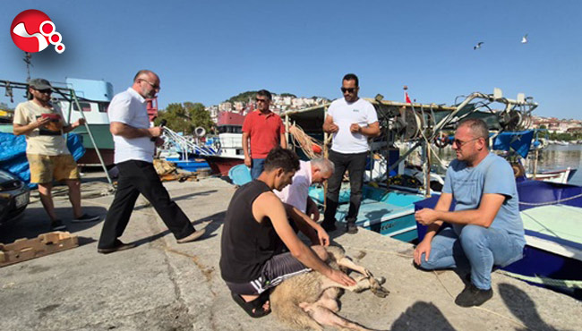 'Vira Bismillah' diyecekler!....