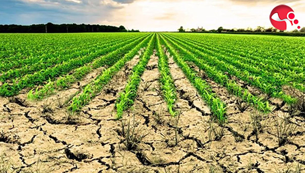 Tarımda yeni dönem başlıyor....