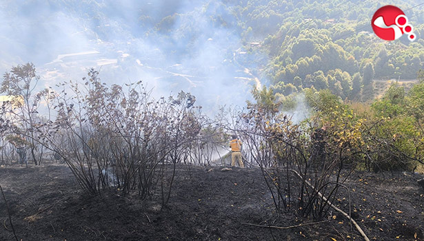 Kontrol altına alındı