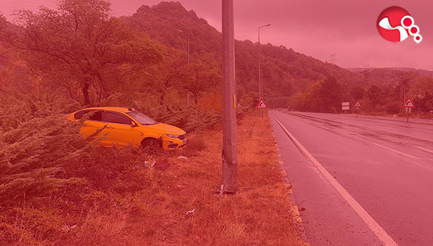 Aydınlatma direğine çarptı