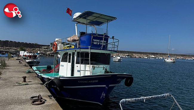 Hamsi beklentisi yüksek!