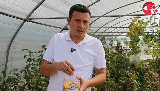 Ata Tohumu Projesi, katlanarak büyüyor...