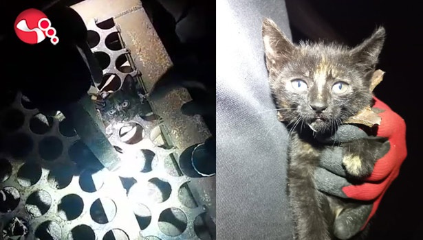 Yürek burkan kurtarma operasyonu!...