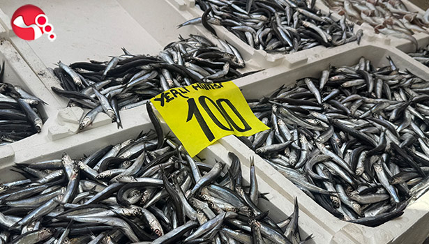 Tezgahlarda hamsi bolluğu!....