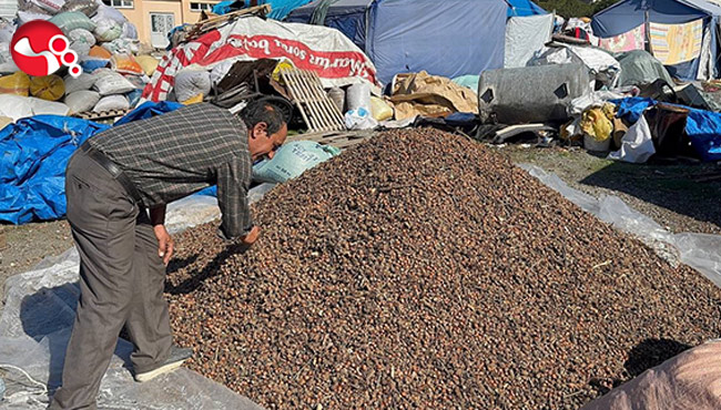 Hem üreticiler hem de alıcılar hareketlendi
