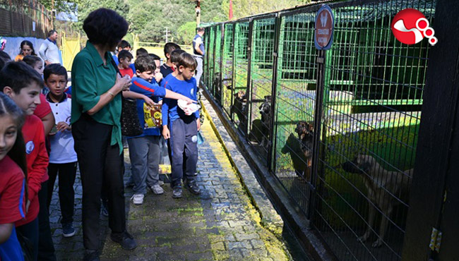 MİNİK KALPLER PATİLİ DOSTLARINI UNUTMADI....