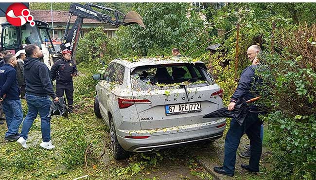 Park halindeki otomobilin üzerine ağaç devrildi