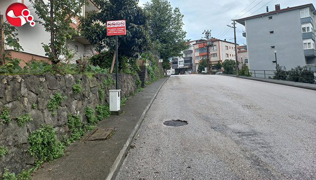 Alaplı’da hatalı parklara karşı yeni düzenleme