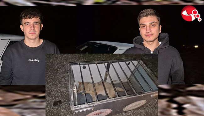 Başından bir an olsun ayrılmadılar